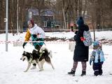 В Белгороде прошёл семейный забег «Хаски-Trail» - Изображение 10