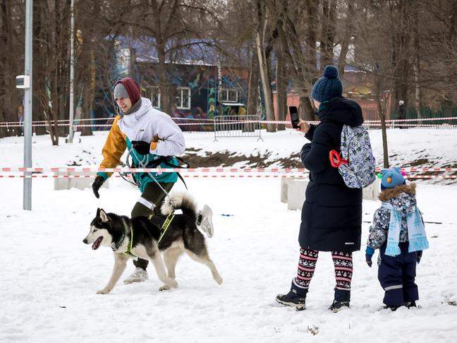 В Белгороде прошёл семейный забег «Хаски-Trail»