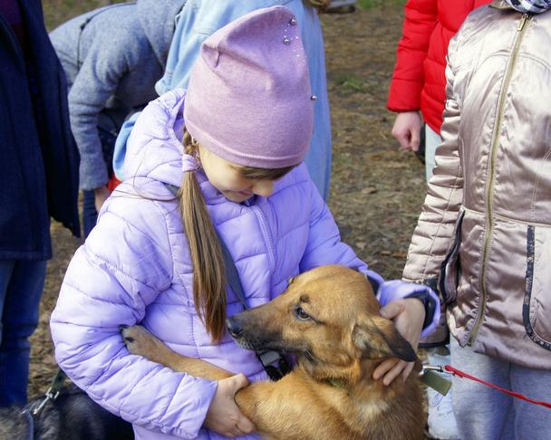 Семь счастливчиков