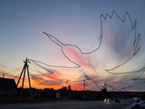Нетипично большая колибри и любопытный петушок - Изображение 1