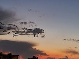Нетипично большая колибри и любопытный петушок - Изображение 8