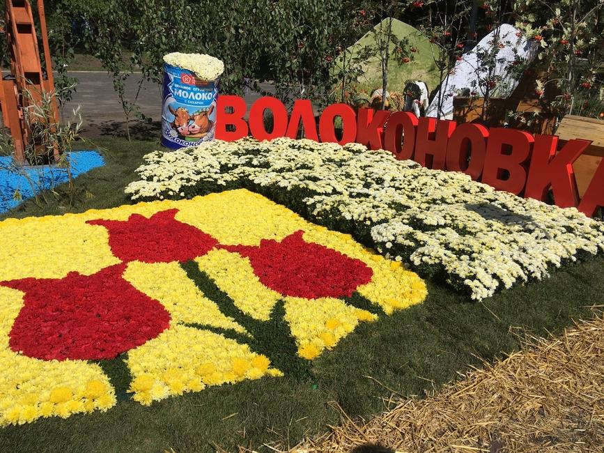 Фестиваль «Белгород в цвету» - Изображение 5