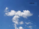 Собачка, кошка, поросёнок - Изображение 15