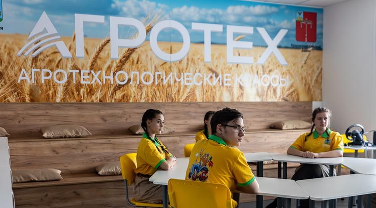 Гидропоника и VR-очки