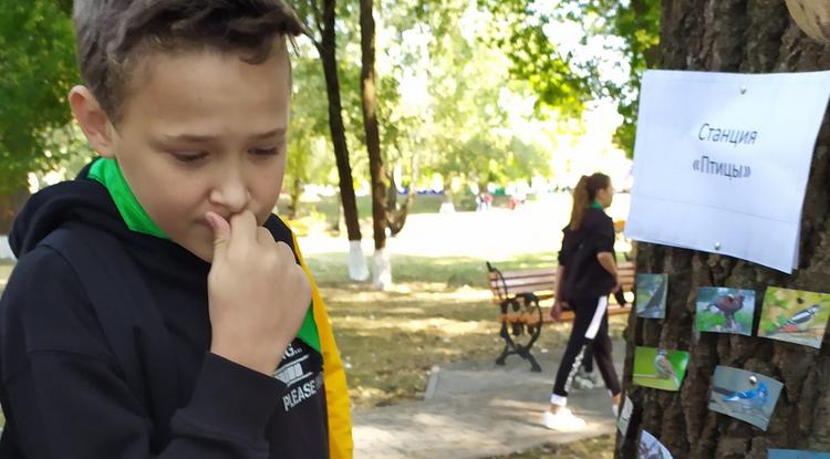 Детско-юношеский центр Прохоровского района провёл экологические квесты для школьников