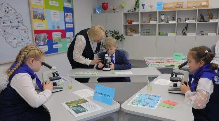 Профориентация должна быть грамотной